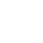 made-in-the-usa-FFFFFF